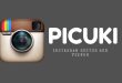 Sighter complete Instagram profile on Picuki in the least complicated manner