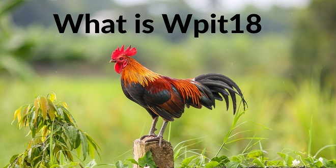 Is Wpit18.Com Registration Safe and Legal?