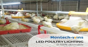 Reasons for Using Agricultural Lighting on Farms